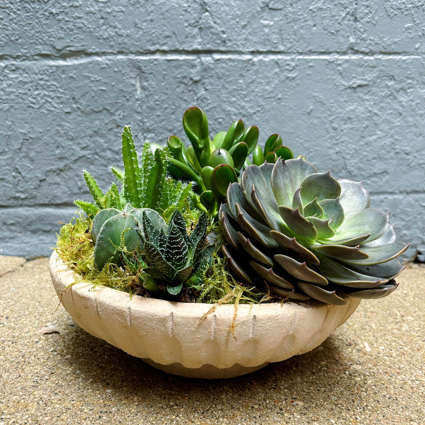 Plant arrangement (for local delivery)