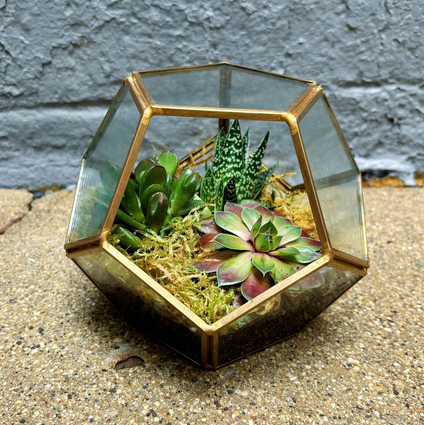 Plant arrangement (for local delivery)