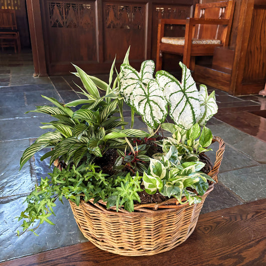 Plant arrangement (for local delivery)